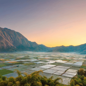 Tour Harian – Explore Senaru & Sembalun